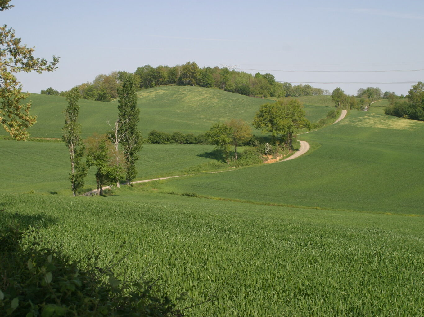 Journée du patrimoine de Pays et des Moulins